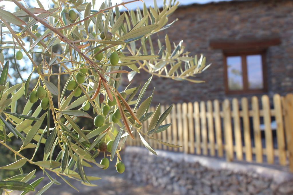 شقة Dreams Alpujarra بامبانيرا المظهر الخارجي الصورة