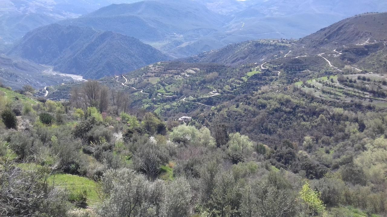 شقة Dreams Alpujarra بامبانيرا المظهر الخارجي الصورة