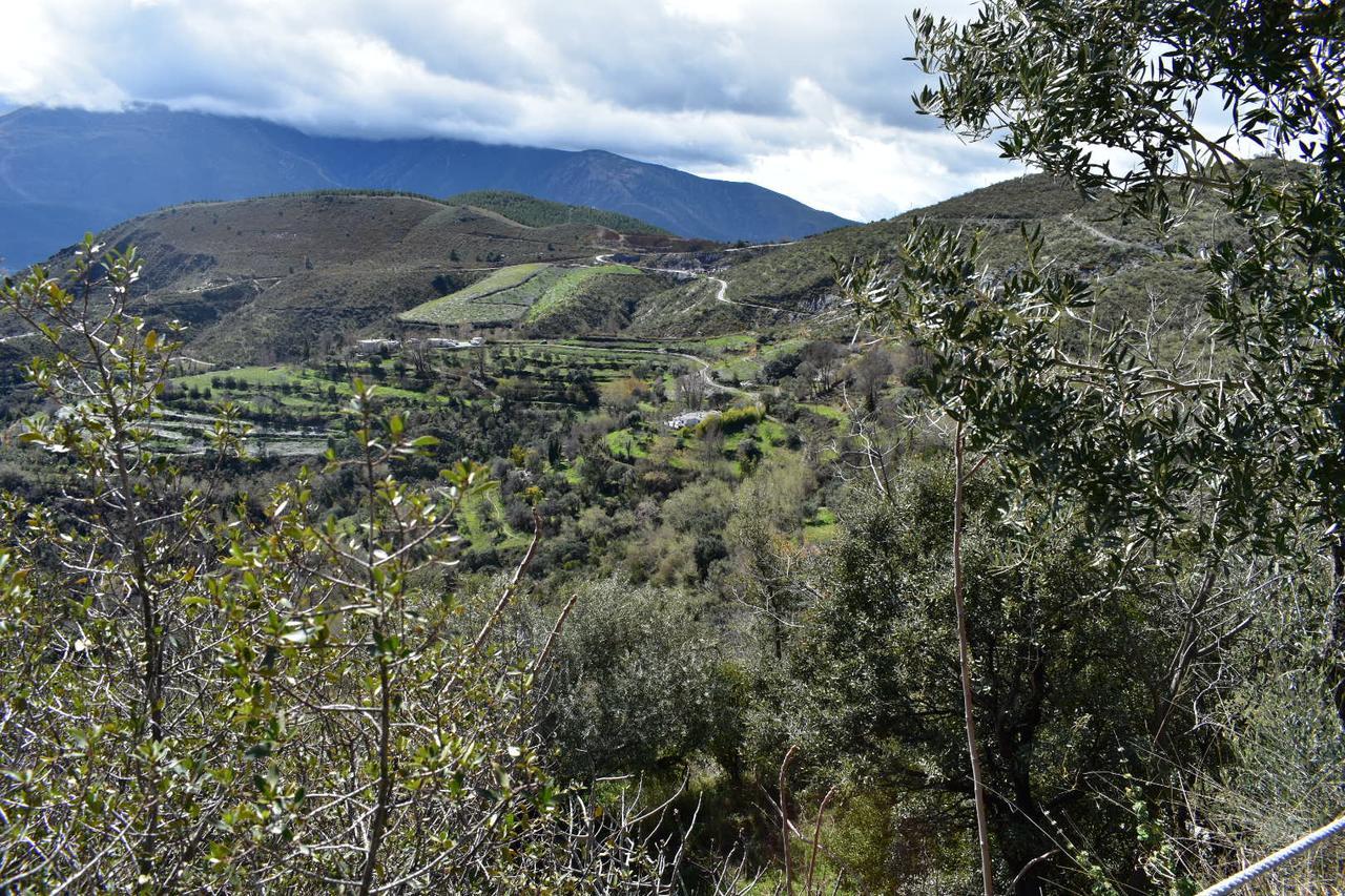 شقة Dreams Alpujarra بامبانيرا المظهر الخارجي الصورة