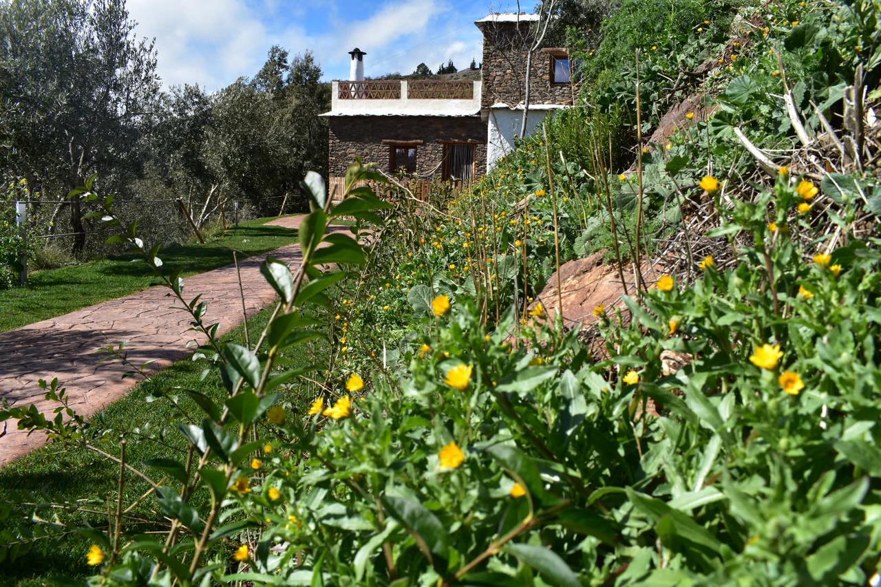 شقة Dreams Alpujarra بامبانيرا المظهر الخارجي الصورة
