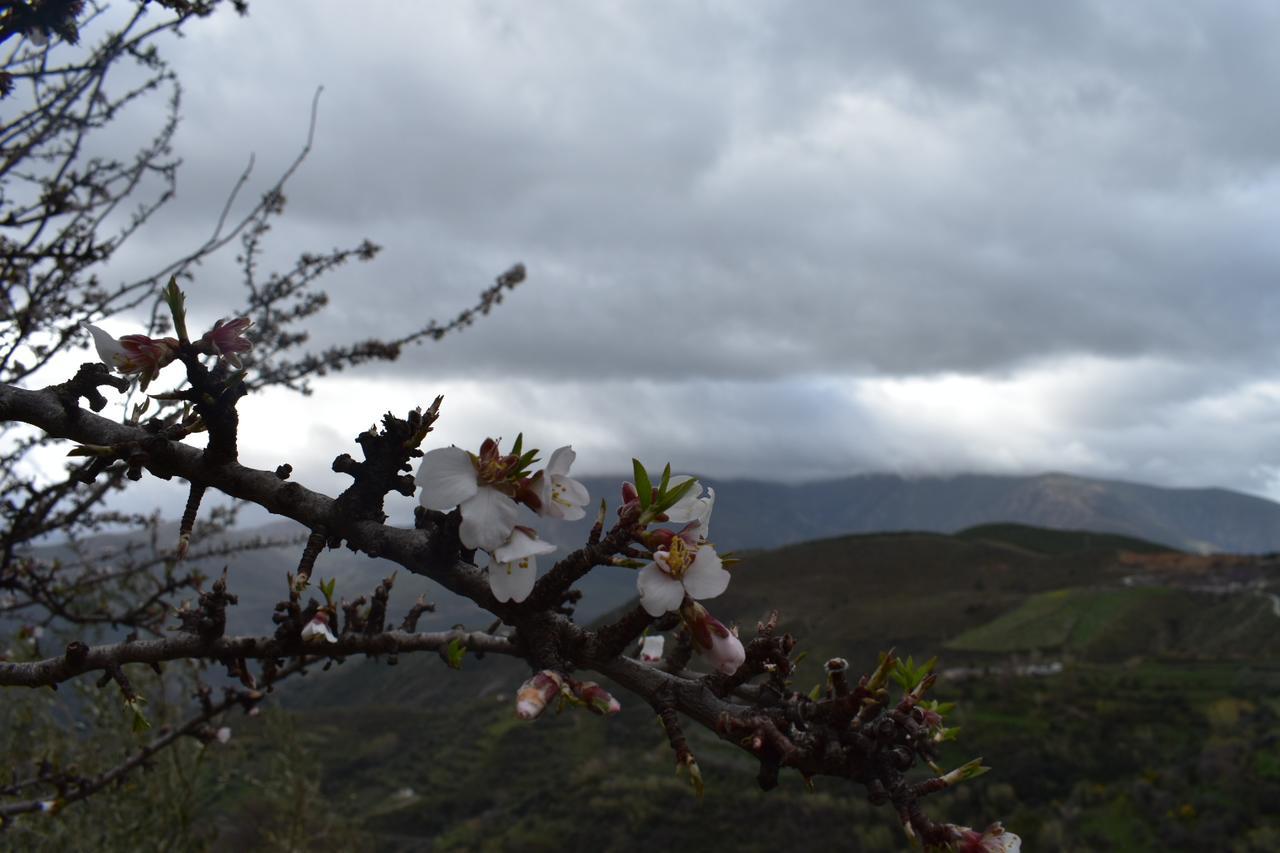 شقة Dreams Alpujarra بامبانيرا المظهر الخارجي الصورة